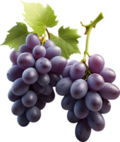 ai gerado dois vermelho uvas em uma transparente fundo png