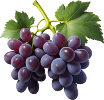 ai generado dos rojo uvas en un transparente antecedentes png