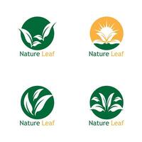 Green Leaf Nature Plant Conceptual Symbol Vector Illustration