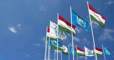 Hungary and United Nations, UN Flags Waving Together in the Sky, Seamless Loop in Wind, Space on Left Side for Design or Information, 3D Rendering video