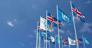 Islande et uni nations, ONU drapeaux agitant ensemble dans le ciel, sans couture boucle dans vent, espace sur la gauche côté pour conception ou information, 3d le rendu video