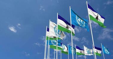 Lesotho et uni nations, ONU drapeaux agitant ensemble dans le ciel, sans couture boucle dans vent, espace sur la gauche côté pour conception ou information, 3d le rendu video