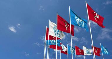 Isle of Man and United Nations, UN Flags Waving Together in the Sky, Seamless Loop in Wind, Space on Left Side for Design or Information, 3D Rendering video