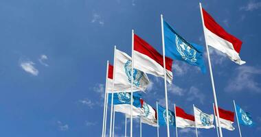 Indonesia and United Nations, UN Flags Waving Together in the Sky, Seamless Loop in Wind, Space on Left Side for Design or Information, 3D Rendering video