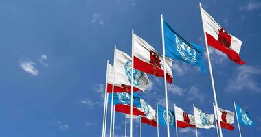 Gibraltar and United Nations, UN Flags Waving Together in the Sky, Seamless Loop in Wind, Space on Left Side for Design or Information, 3D Rendering video