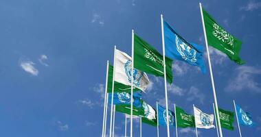 KSA, Kingdom of Saudi Arabia and United Nations, UN Flags Waving Together in the Sky, Seamless Loop in Wind, Space on Left Side for Design or Information, 3D Rendering video