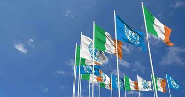 Irlande et uni nations, ONU drapeaux agitant ensemble dans le ciel, sans couture boucle dans vent, espace sur la gauche côté pour conception ou information, 3d le rendu video