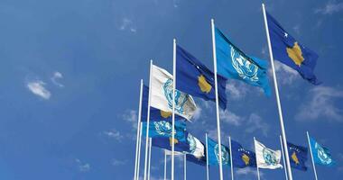 Kosovo and United Nations, UN Flags Waving Together in the Sky, Seamless Loop in Wind, Space on Left Side for Design or Information, 3D Rendering video