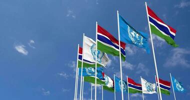 Gambia and United Nations, UN Flags Waving Together in the Sky, Seamless Loop in Wind, Space on Left Side for Design or Information, 3D Rendering video