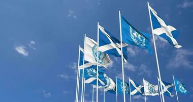 Scotland and United Nations, UN Flags Waving Together in the Sky, Seamless Loop in Wind, Space on Left Side for Design or Information, 3D Rendering video