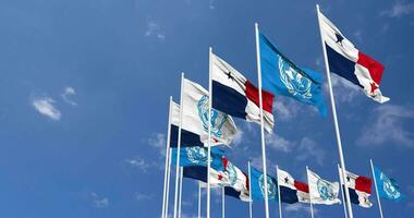 Panama and United Nations, UN Flags Waving Together in the Sky, Seamless Loop in Wind, Space on Left Side for Design or Information, 3D Rendering video