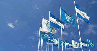 Nicaragua and United Nations, UN Flags Waving Together in the Sky, Seamless Loop in Wind, Space on Left Side for Design or Information, 3D Rendering video