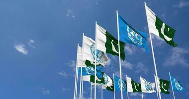 pakistan och förenad nationer, fn flaggor vinka tillsammans i de himmel, sömlös slinga i vind, Plats på vänster sida för design eller information, 3d tolkning video