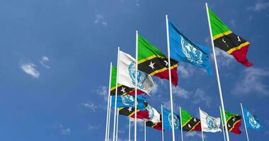 Saint Kitts and Nevis and United Nations, UN Flags Waving Together in the Sky, Seamless Loop in Wind, Space on Left Side for Design or Information, 3D Rendering video