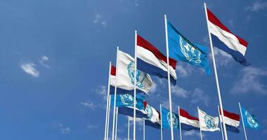 Netherlands and United Nations, UN Flags Waving Together in the Sky, Seamless Loop in Wind, Space on Left Side for Design or Information, 3D Rendering video