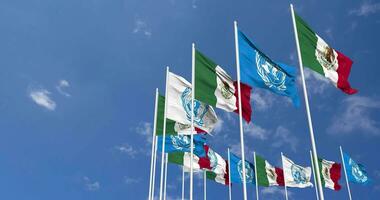 Mexico and United Nations, UN Flags Waving Together in the Sky, Seamless Loop in Wind, Space on Left Side for Design or Information, 3D Rendering video