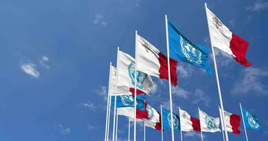 Malta and United Nations, UN Flags Waving Together in the Sky, Seamless Loop in Wind, Space on Left Side for Design or Information, 3D Rendering video