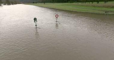 Drone video of the German river Main during a flood with flooded trees on the banks during the day