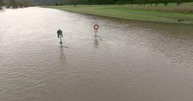 dar video van de Duitse rivier- hoofd gedurende een overstroming met overstroomd bomen Aan de banken gedurende de dag