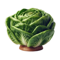 AI generated Savoy cabbage, close-up png