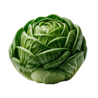 AI generated Savoy cabbage, close-up png