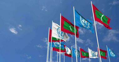 Maldives et uni nations, ONU drapeaux agitant ensemble dans le ciel, sans couture boucle dans vent, espace sur la gauche côté pour conception ou information, 3d le rendu video