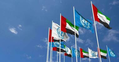 United Arab Emirates and United Nations, UN Flags Waving Together in the Sky, Seamless Loop in Wind, Space on Left Side for Design or Information, 3D Rendering video