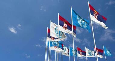 Serbia and United Nations, UN Flags Waving Together in the Sky, Seamless Loop in Wind, Space on Left Side for Design or Information, 3D Rendering video