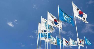 South Korea and United Nations, UN Flags Waving Together in the Sky, Seamless Loop in Wind, Space on Left Side for Design or Information, 3D Rendering video