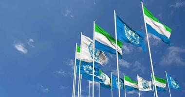 Sierra Leone and United Nations, UN Flags Waving Together in the Sky, Seamless Loop in Wind, Space on Left Side for Design or Information, 3D Rendering video