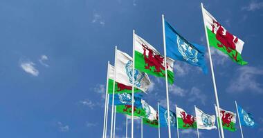 Wales and United Nations, UN Flags Waving Together in the Sky, Seamless Loop in Wind, Space on Left Side for Design or Information, 3D Rendering video