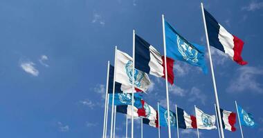 France and United Nations, UN Flags Waving Together in the Sky, Seamless Loop in Wind, Space on Left Side for Design or Information, 3D Rendering video