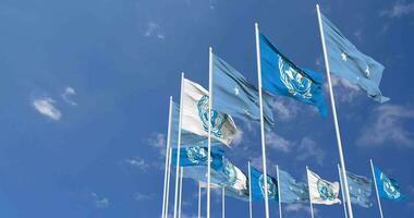 Federated States of Micronesia and United Nations, UN Flags Waving Together in the Sky, Seamless Loop in Wind, Space on Left Side for Design or Information, 3D Rendering video