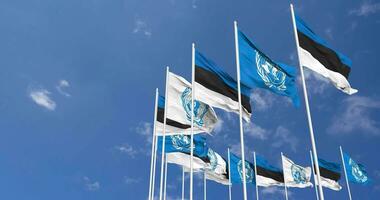 Estonia and United Nations, UN Flags Waving Together in the Sky, Seamless Loop in Wind, Space on Left Side for Design or Information, 3D Rendering video