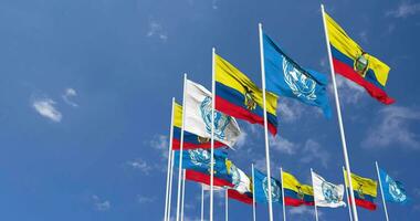 Ecuador and United Nations, UN Flags Waving Together in the Sky, Seamless Loop in Wind, Space on Left Side for Design or Information, 3D Rendering video