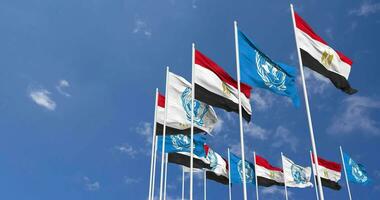 Egypt and United Nations, UN Flags Waving Together in the Sky, Seamless Loop in Wind, Space on Left Side for Design or Information, 3D Rendering video