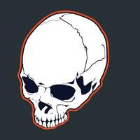 human skull head half vector