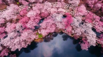 AI generated pink sakura in the japan, sakura tree background, pink tree background, sakura wallpaper, sakura in spring photo