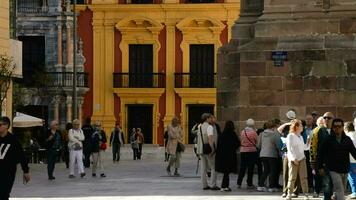 Malaga, Spanje, 2018 - mensen wandelen in een monumentaal straat een middag voorjaar video