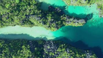 Aerial view of Big Lagoon in the Philippines video