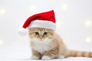 AI generated cat wearing Santa clause hat photo