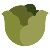 Cabbage icon illustration for uiux, web, app, infographic, etc vector