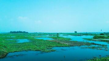 hermosa hojas perennes pueblo con canal en Bangladesh foto