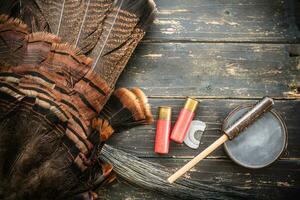 Eastern Wild Turkey Hunting Background photo