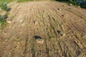 Rectangular bales of hay on the field. Hay photo