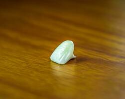 Tooth, metal ceramic crown on the table. Denture made of metal ceramics photo