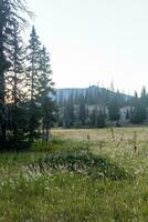 Colorado Weminuche Wilderness Scenery and Meadow photo