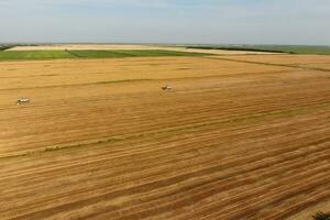 Combine harvester harvest barley photo