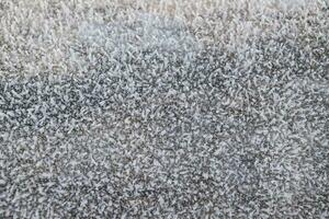 Hoarfrost on tree trunk surface photo