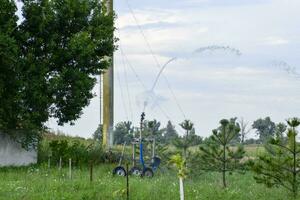 Irrigation system Watering in the garden. Watering the seedlings in the park. Watering the fields. Sprinkler. photo